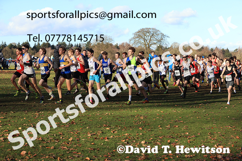Boys under-15s 2025 Northern Cross Country Champs, Tatton Park, Knutsford, Cheshire. Photo: David T. Hewitson/Sports for All Pics